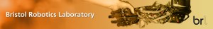 brl-banner
