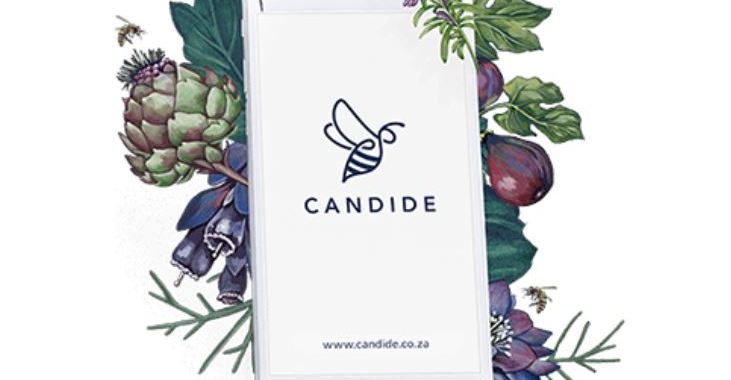 Candide Picture